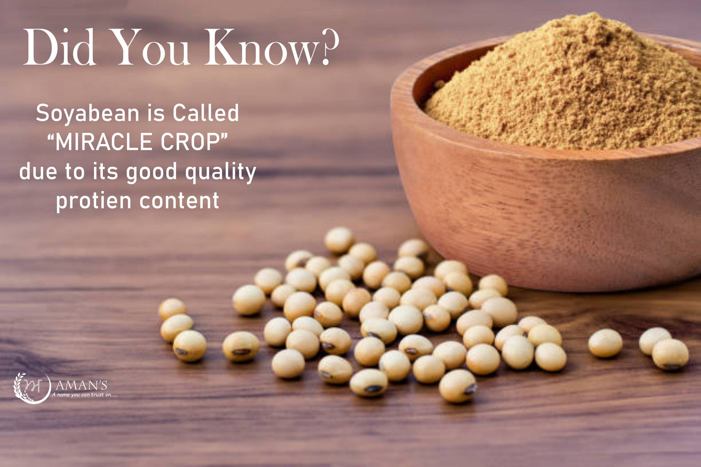 Aman Soyabean Flour/Soy Flour.