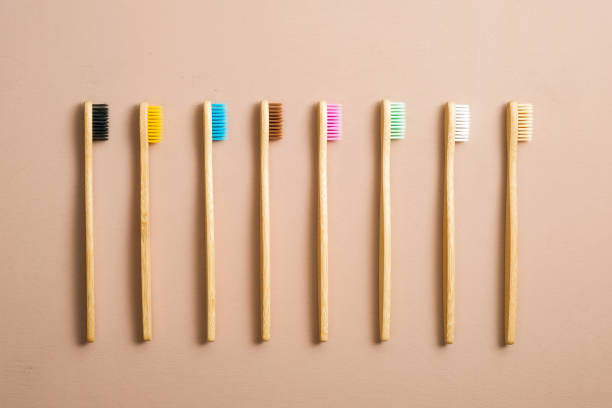 Tida Bamboo Brushes
