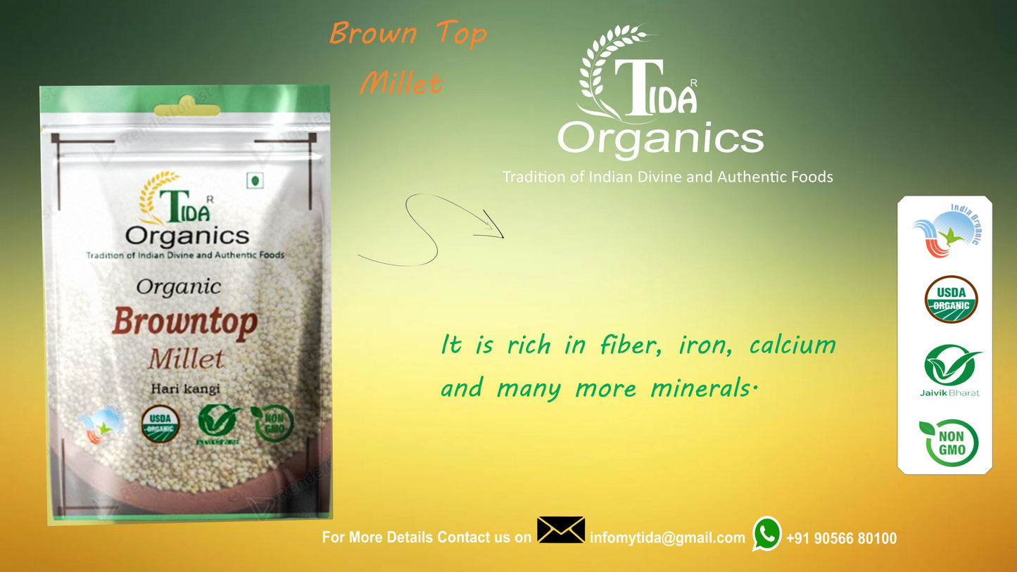 Tida Browntop Millet/ Hari Kangani / Grains / Unpolished