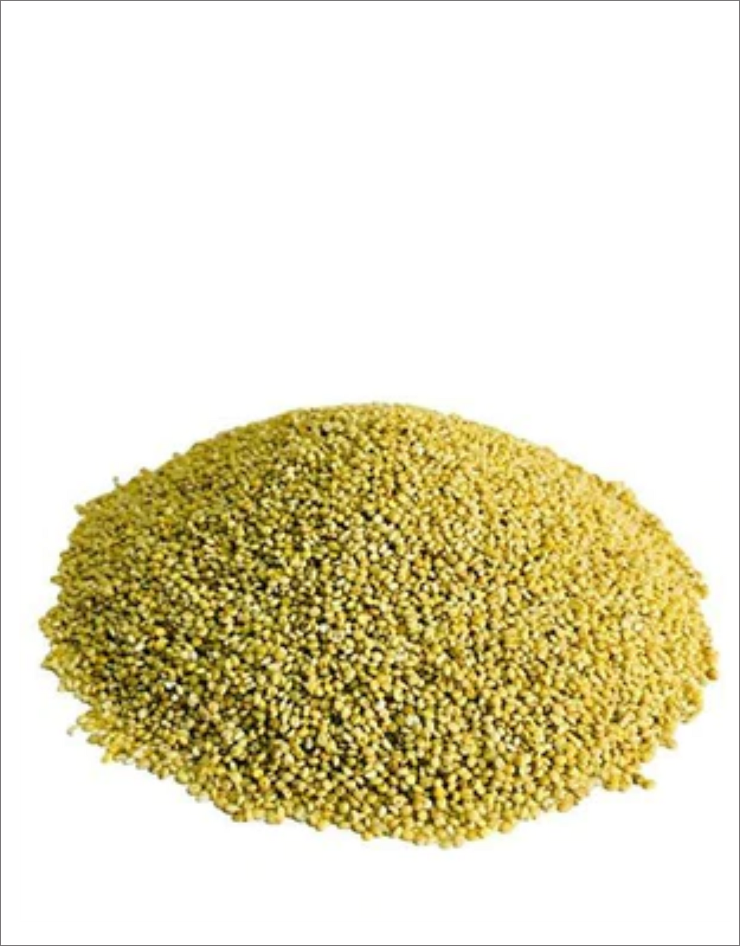 Tida Browntop Millet/ Hari Kangani / Grains / Unpolished