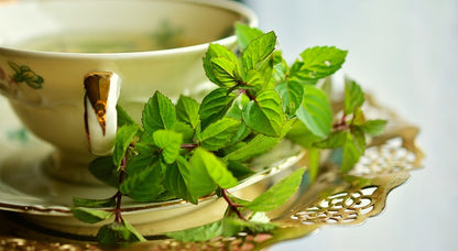 Tida Minty Green/Green Tea/Slim Tea